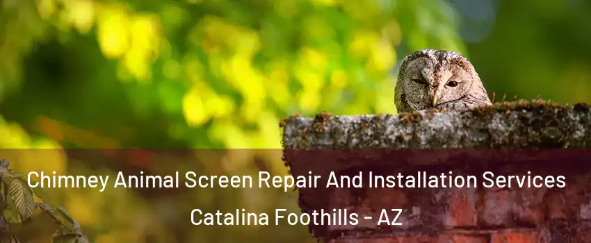  Chimney Animal Screen Repair And Installation Services Catalina Foothills - AZ