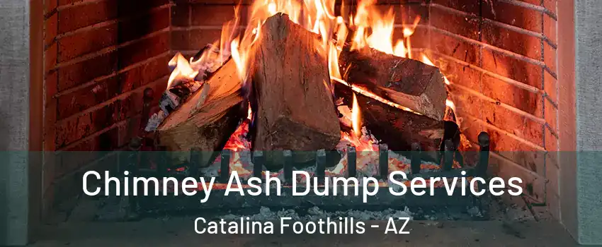  Chimney Ash Dump Services Catalina Foothills - AZ