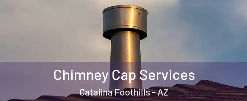  Chimney Cap Services Catalina Foothills - AZ