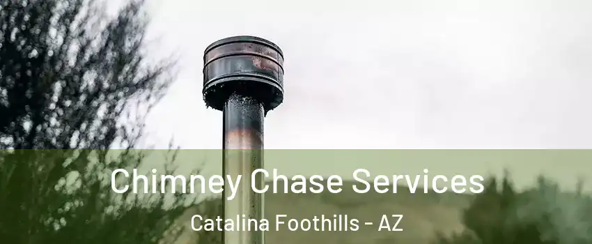  Chimney Chase Services Catalina Foothills - AZ