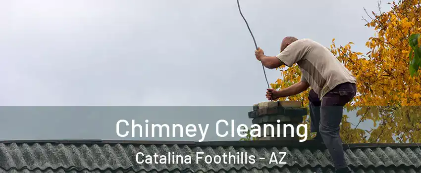  Chimney Cleaning Catalina Foothills - AZ