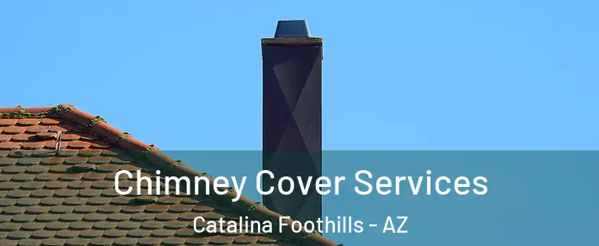  Chimney Cover Services Catalina Foothills - AZ