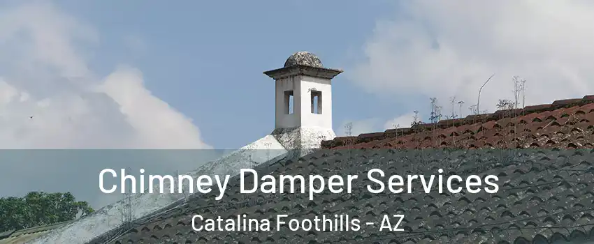  Chimney Damper Services Catalina Foothills - AZ