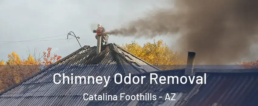  Chimney Odor Removal Catalina Foothills - AZ