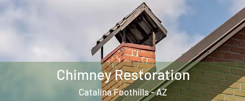  Chimney Restoration Catalina Foothills - AZ