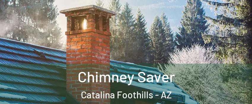  Chimney Saver Catalina Foothills - AZ