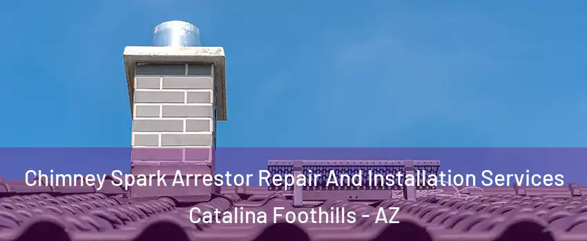  Chimney Spark Arrestor Repair And Installation Services Catalina Foothills - AZ