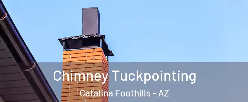  Chimney Tuckpointing Catalina Foothills - AZ