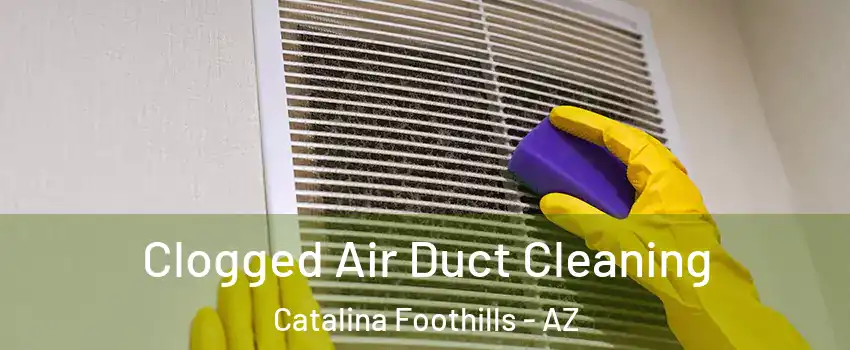  Clogged Air Duct Cleaning Catalina Foothills - AZ