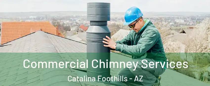  Commercial Chimney Services Catalina Foothills - AZ
