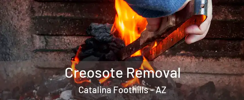  Creosote Removal Catalina Foothills - AZ