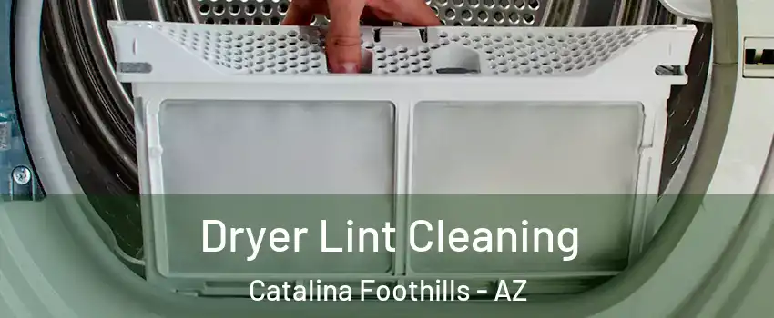  Dryer Lint Cleaning Catalina Foothills - AZ