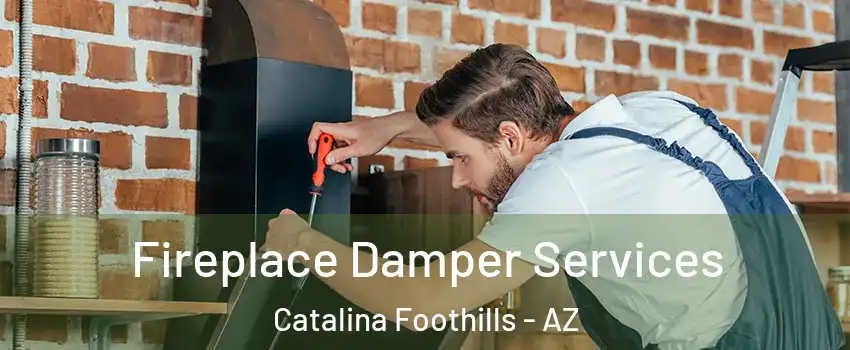  Fireplace Damper Services Catalina Foothills - AZ