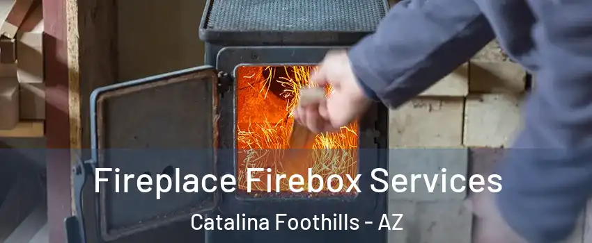  Fireplace Firebox Services Catalina Foothills - AZ