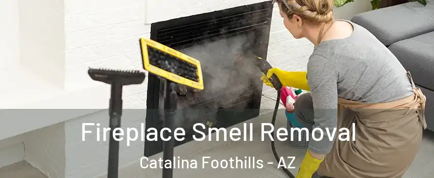  Fireplace Smell Removal Catalina Foothills - AZ