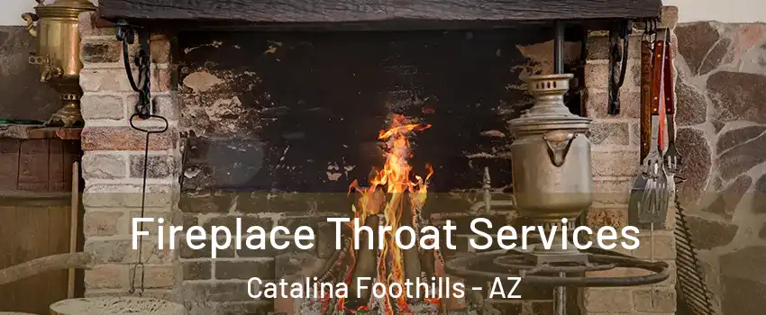  Fireplace Throat Services Catalina Foothills - AZ