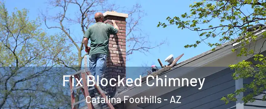  Fix Blocked Chimney Catalina Foothills - AZ