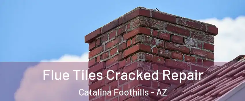  Flue Tiles Cracked Repair Catalina Foothills - AZ