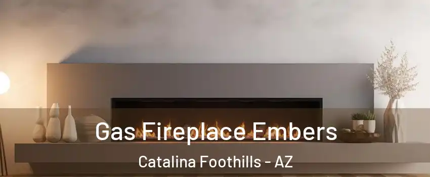  Gas Fireplace Embers Catalina Foothills - AZ