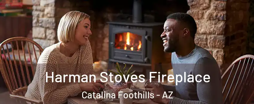  Harman Stoves Fireplace Catalina Foothills - AZ