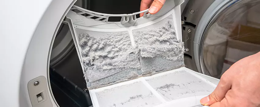 Best Dryer Lint Removal Company in Catalina Foothills, Arizona