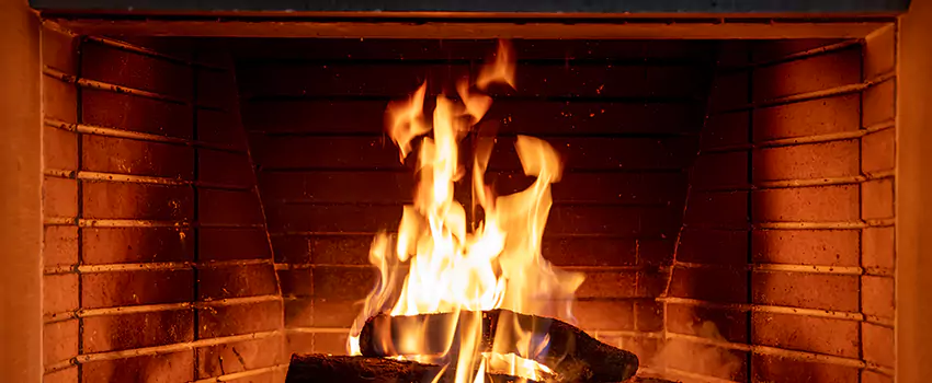 Soot Cleanup Services in Catalina Foothills, AZ