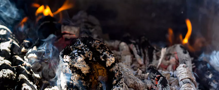 Creosote Removal Experts in Catalina Foothills, AZ