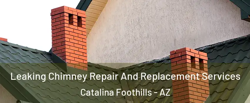  Leaking Chimney Repair And Replacement Services Catalina Foothills - AZ