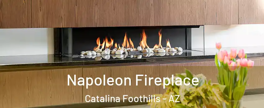  Napoleon Fireplace Catalina Foothills - AZ