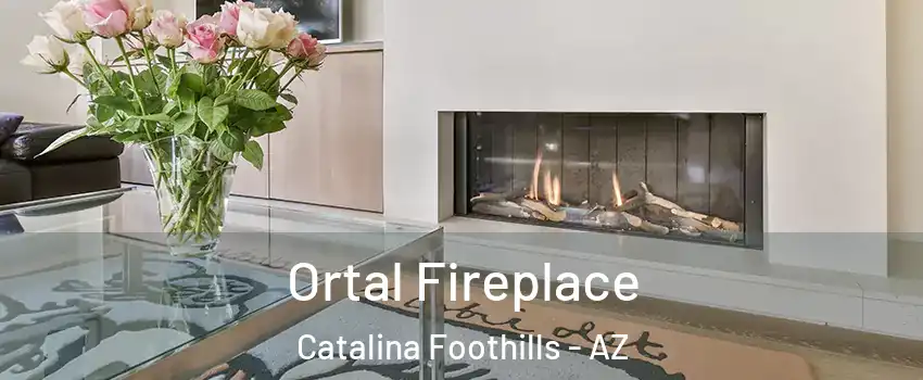  Ortal Fireplace Catalina Foothills - AZ
