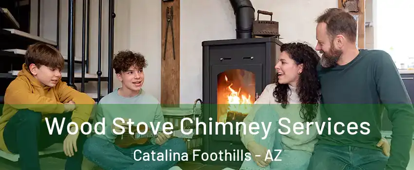 Wood Stove Chimney Services Catalina Foothills - AZ